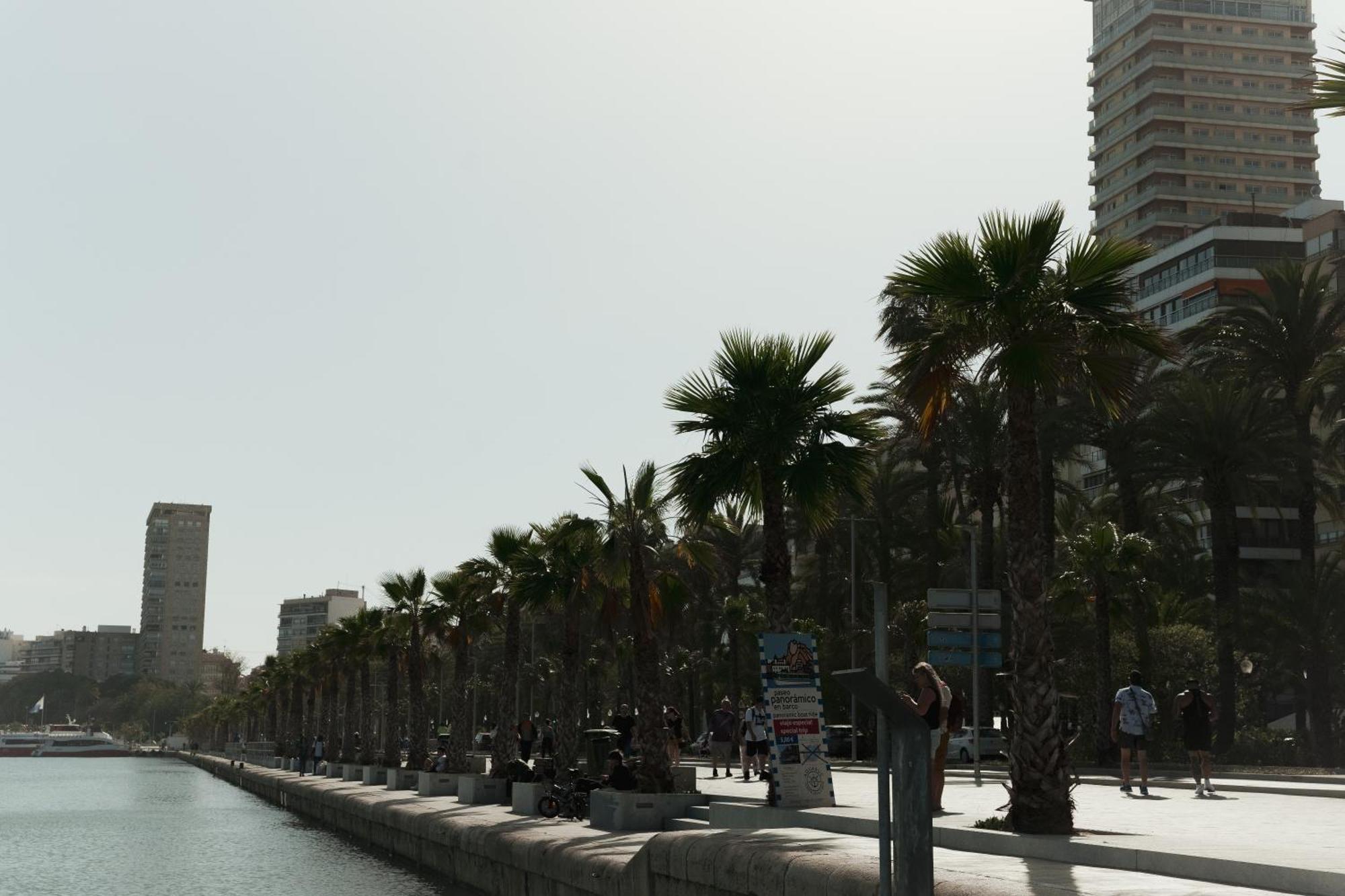 Bs Luxury Estate El Campello Apartman Kültér fotó